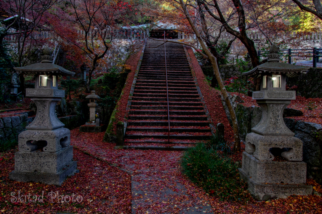 晩秋
