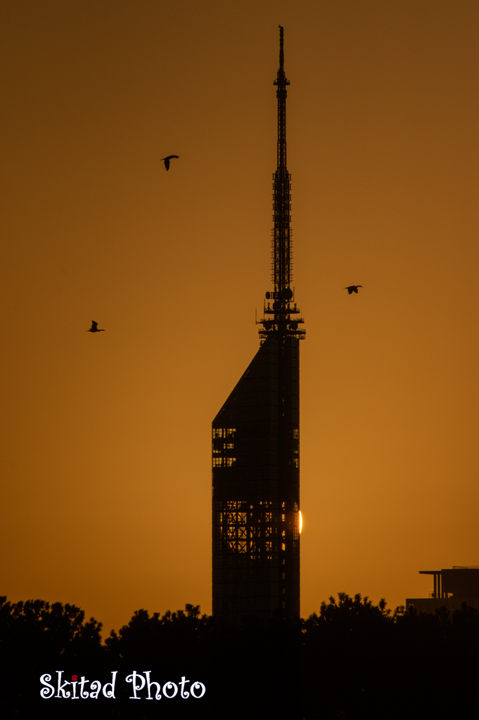 シルエットタワー