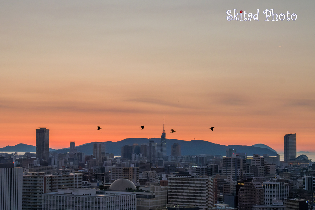 都会の夕暮