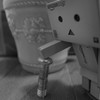 老い