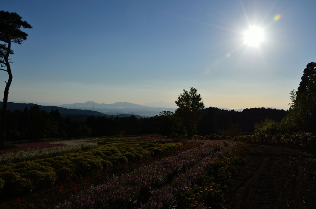 DSC_1410