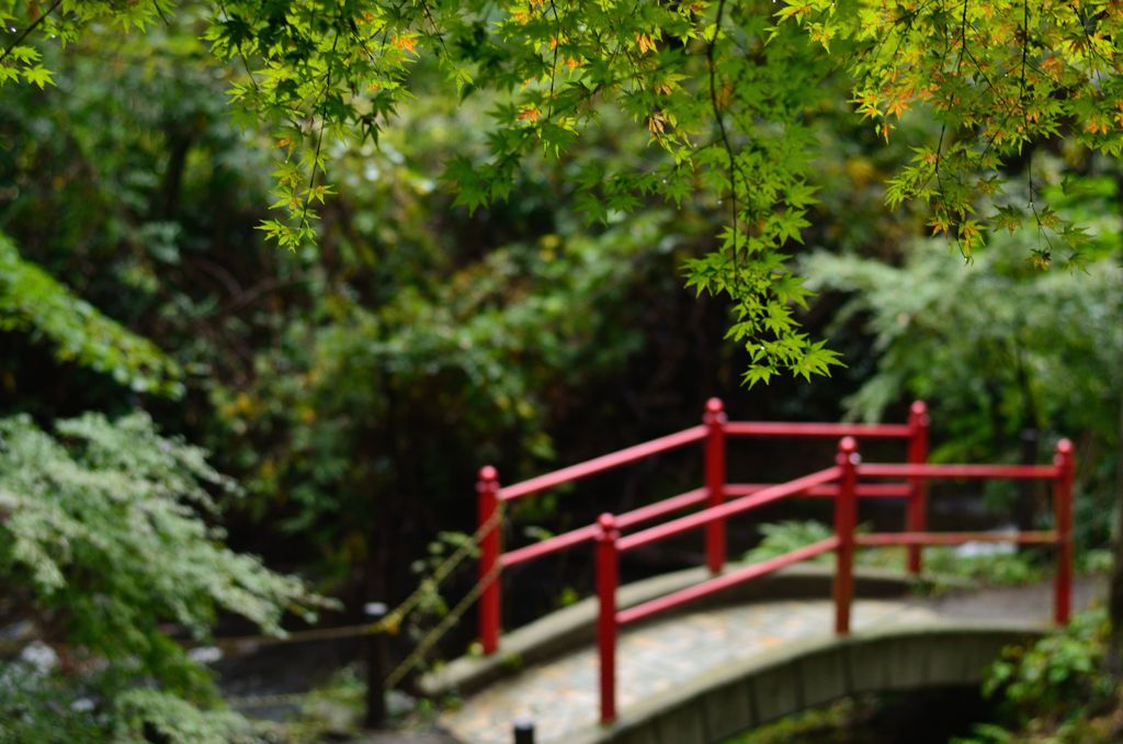 赤橋