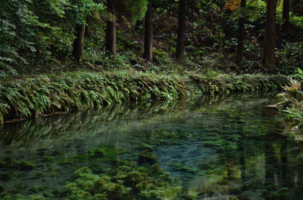 湧水