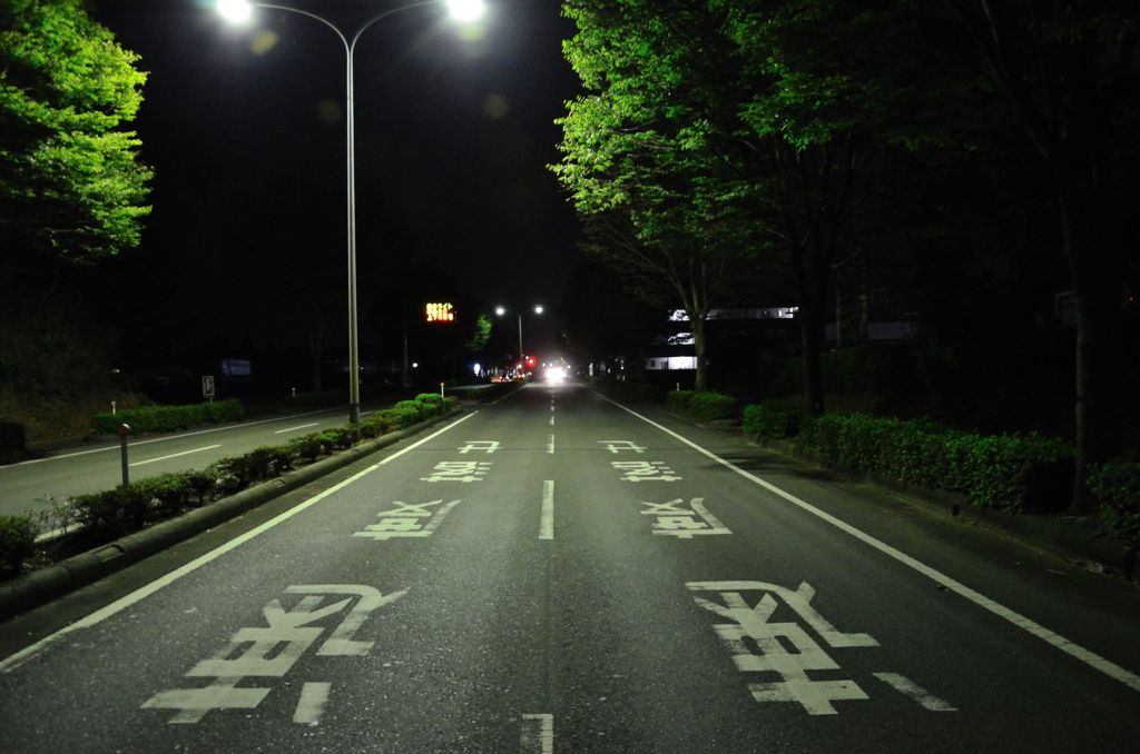 真っ直ぐ進め！