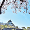 桜とひこうき雲と大阪城