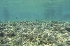 R9254369
