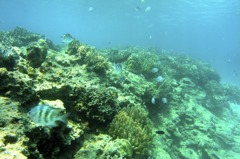 R9254569