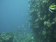 CIMG8803