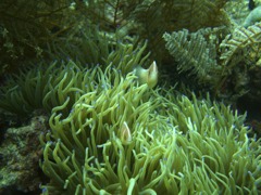 CIMG7464