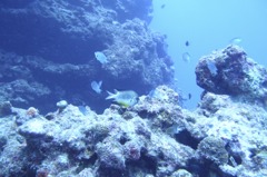 P8200420