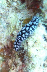 P8200390