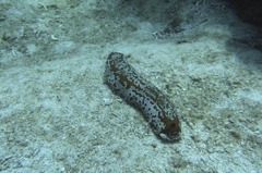 R9254483
