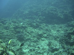 CIMG8791