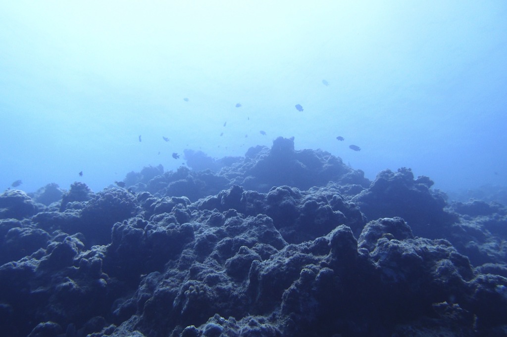P8200486