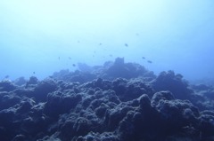 P8200486