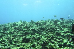 R9254279
