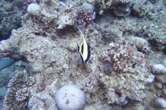 P8200389