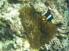 CIMG8805