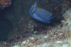 P8200436