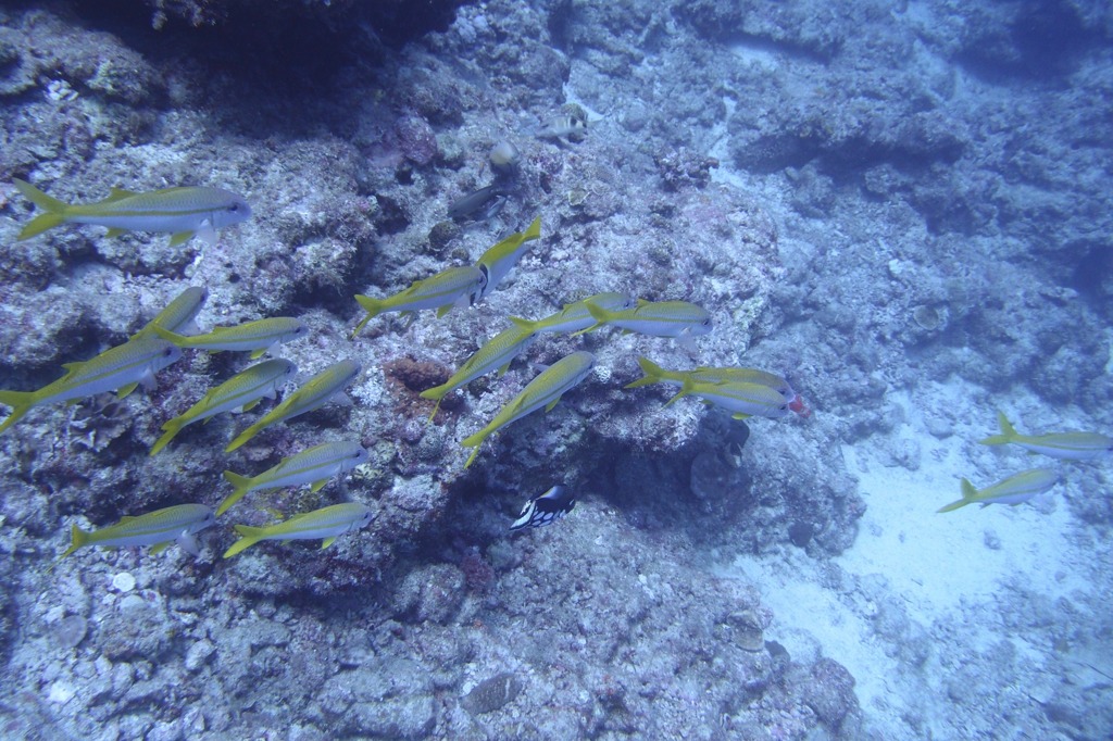 P8200427