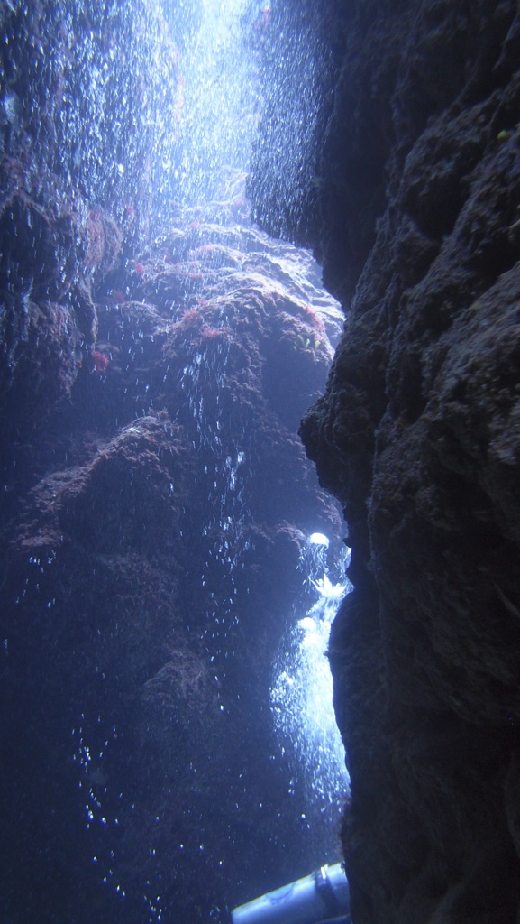 PA091291