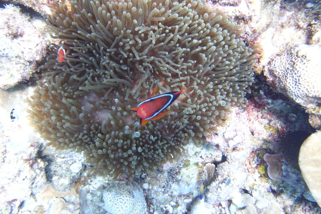 P8200449