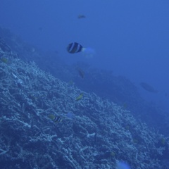 PA081064