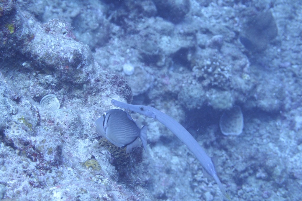 P8200419