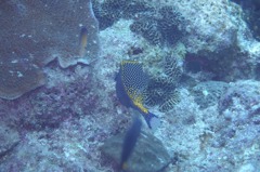 P8200434