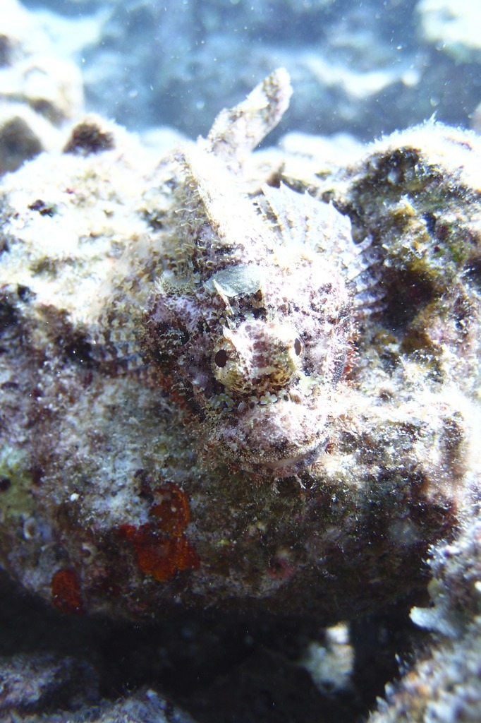 P8200399