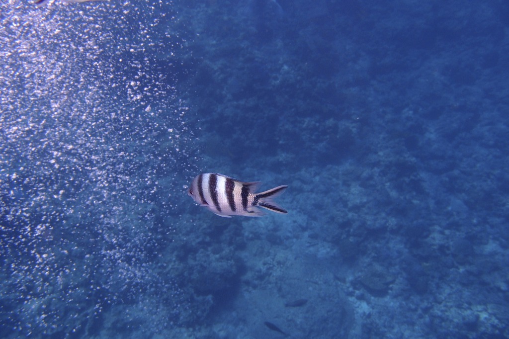 P8200452