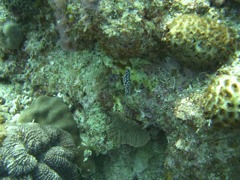 CIMG8795