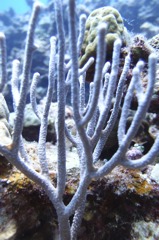 P8200405