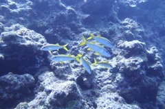 P8200425