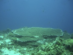 CIMG7390