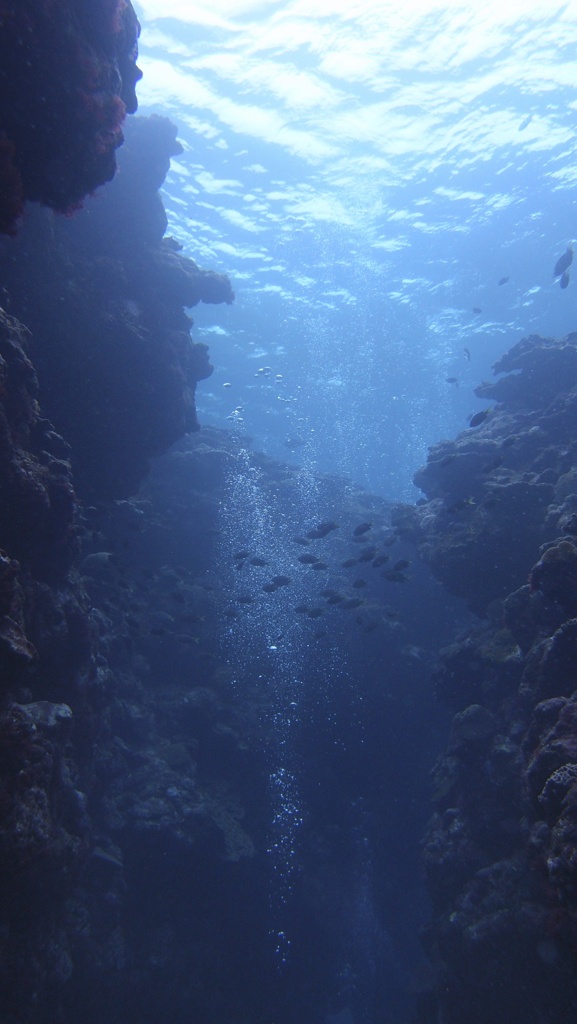 PA091297