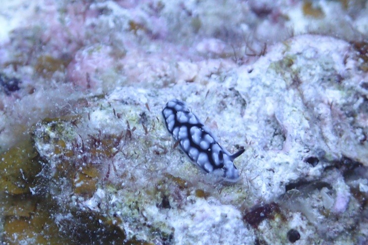 P8200403