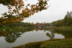 そろそろ紅葉