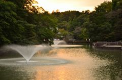 湖面に映る夕焼け