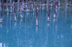 青い池