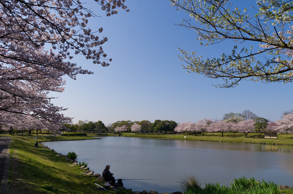 花より釣り