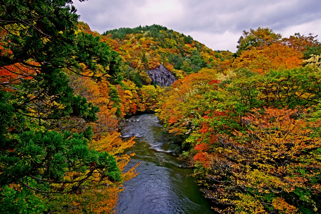 紅葉とはまさに人間模様