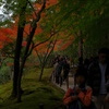 紅いトンネル