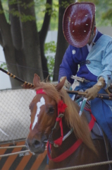 どんまい(´・ω・`)