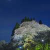 月桜