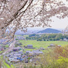 甘樫丘