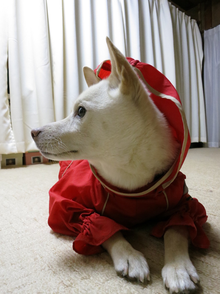 警戒中！