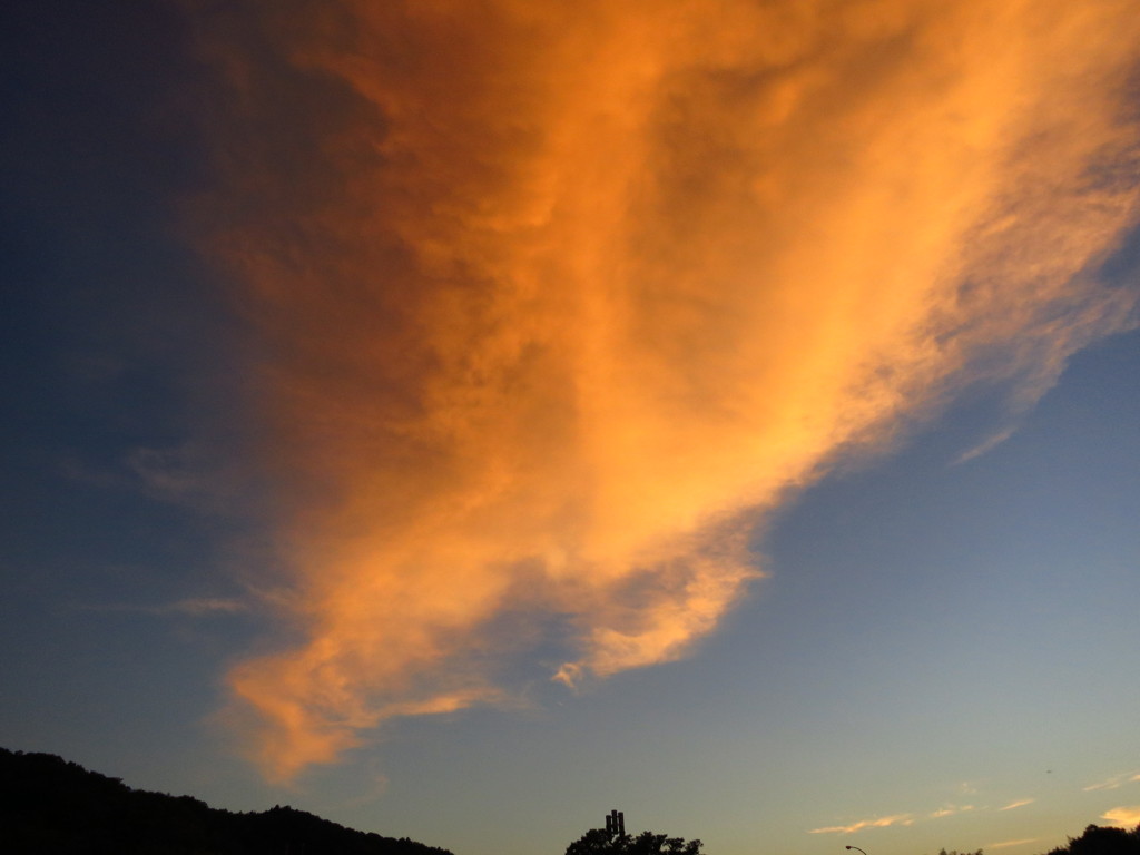 燃え立つ夏空