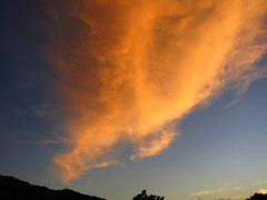 燃え立つ夏空