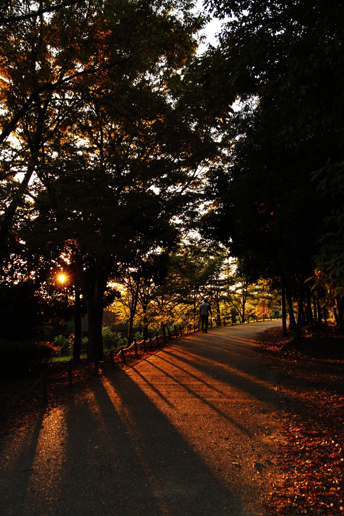 夕刻の散歩道